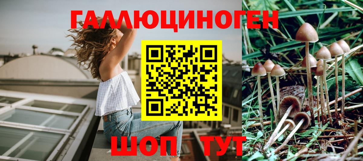 Галлюциногенные грибы Psilocybe  Галлюциногенные грибы Cubensis  Сатка  Вход с VPN 
